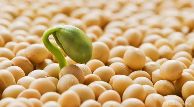 Top 3 Phosphatidylserine Benefits That Will Change Your Life