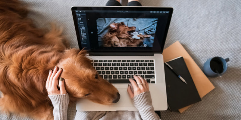 How to Destroy Distractions